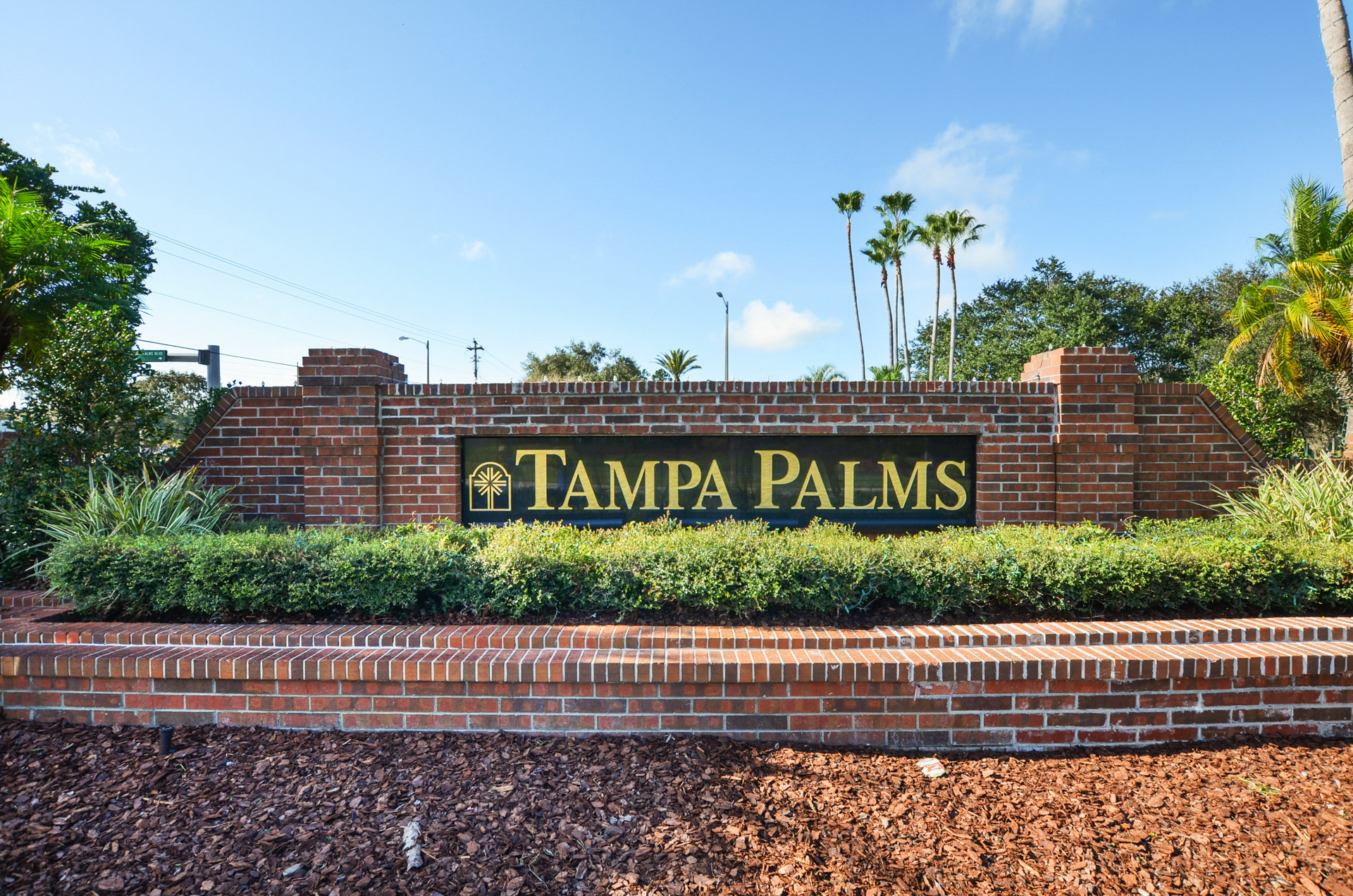 Kristy Darragh New Tampa Florida Executive Realty